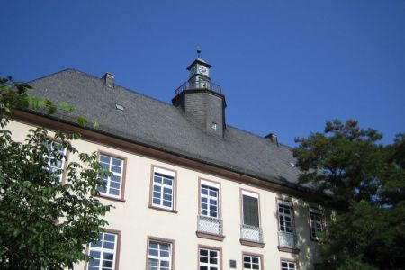 Fremdsprachen an der Rheingauschule