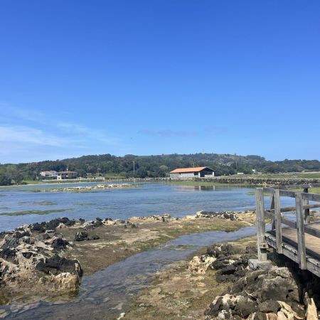 Camino26