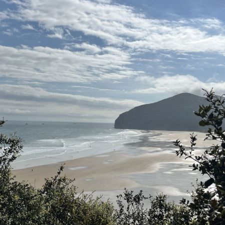 Camino26