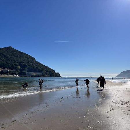 Camino26