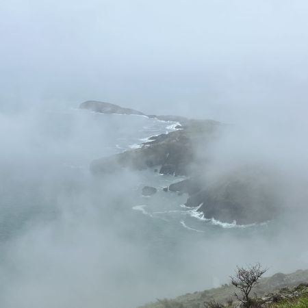 Camino26