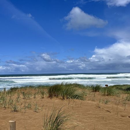 Camino26