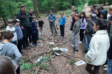 waldtag